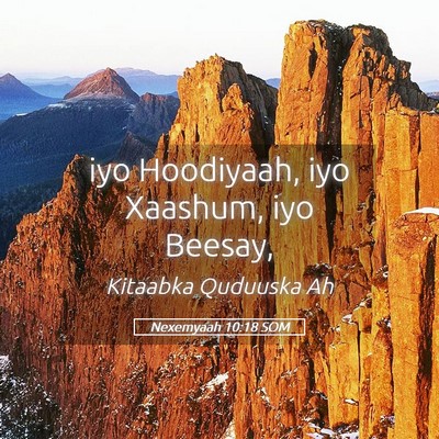 Picture 05 - Nexemyaah 10:18 SOM - iyo Hoodiyaah, iyo Xaashum, iyo - Bible Verse Picture