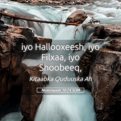 Picture 05 - Nexemyaah 10:24 SOM - iyo Hallooxeesh, iyo Filxaa, iyo - Bible Verse Picture