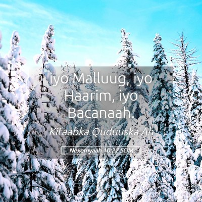 Picture 05 - Nexemyaah 10:27 SOM - iyo Malluug, iyo Haarim, iyo - Bible Verse Picture
