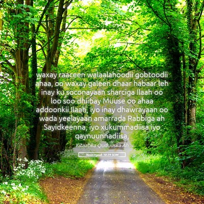Picture 05 - Nexemyaah 10:29 SOM - waxay raaceen walaalahoodii gobtoodii ahaa, oo - Bible Verse Picture