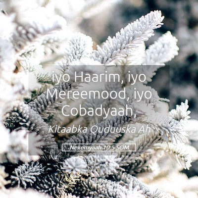 Picture 05 - Nexemyaah 10:5 SOM - iyo Haarim, iyo Mereemood, iyo - Bible Verse Picture