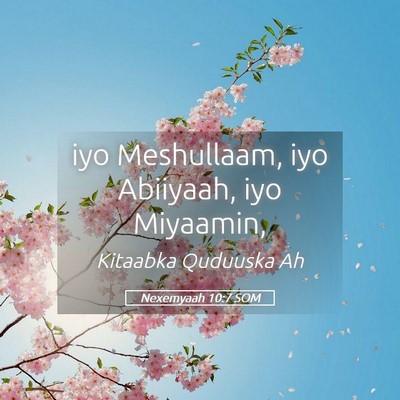 Picture 05 - Nexemyaah 10:7 SOM - iyo Meshullaam, iyo Abiiyaah, iyo - Bible Verse Picture