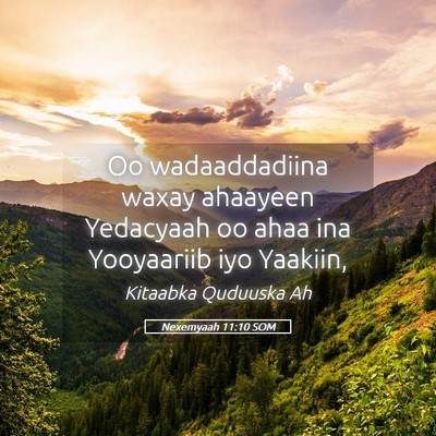 Picture 05 - Nexemyaah 11:10 SOM - Oo wadaaddadiina waxay ahaayeen Yedacyaah oo ahaa - Bible Verse Picture