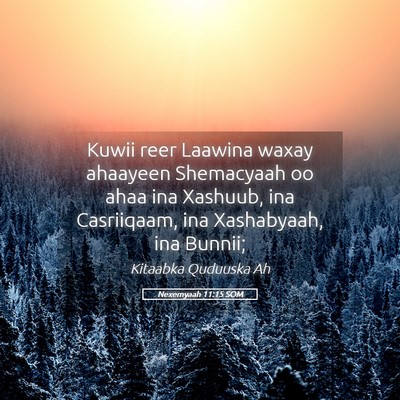 Picture 05 - Nexemyaah 11:15 SOM - Kuwii reer Laawina waxay ahaayeen Shemacyaah oo - Bible Verse Picture