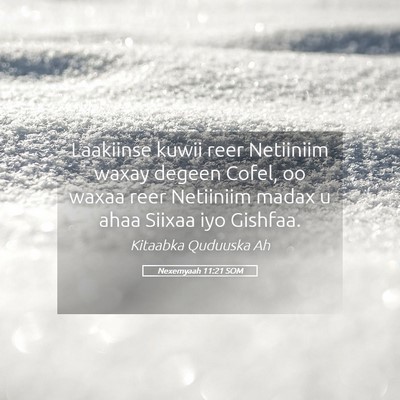 Picture 05 - Nexemyaah 11:21 SOM - Laakiinse kuwii reer Netiiniim waxay degeen - Bible Verse Picture