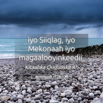 Picture 05 - Nexemyaah 11:28 SOM - iyo Siiqlag, iyo Mekonaah iyo - Bible Verse Picture