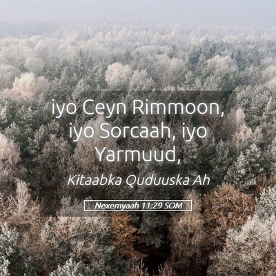 Picture 05 - Nexemyaah 11:29 SOM - iyo Ceyn Rimmoon, iyo Sorcaah, iyo - Bible Verse Picture