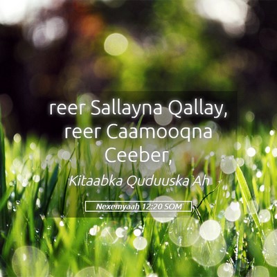 Picture 05 - Nexemyaah 12:20 SOM - reer Sallayna Qallay, reer Caamooqna - Bible Verse Picture
