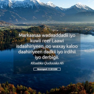 Picture 05 - Nexemyaah 12:30 SOM - Markaasaa wadaaddadii iyo kuwii reer Laawi - Bible Verse Picture
