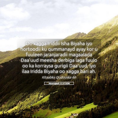 Picture 05 - Nexemyaah 12:37 SOM - Oo xagga Iriddii Isha Biyaha iyo hortoodii ku - Bible Verse Picture
