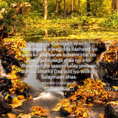 Picture 05 - Nexemyaah 12:45 SOM - Oo waxay dhawreen wixii ku saabsanaa u adeegidda - Bible Verse Picture