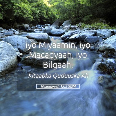 Picture 05 - Nexemyaah 12:5 SOM - iyo Miyaamin, iyo Macadyaah, iyo - Bible Verse Picture