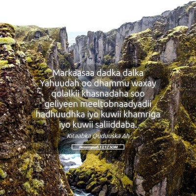 Picture 05 - Nexemyaah 13:12 SOM - Markaasaa dadka dalka Yahuudah oo dhammu waxay - Bible Verse Picture