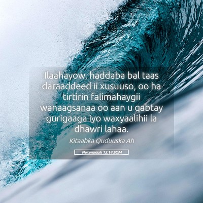 Picture 05 - Nexemyaah 13:14 SOM - Ilaahayow, haddaba bal taas daraaddeed ii - Bible Verse Picture
