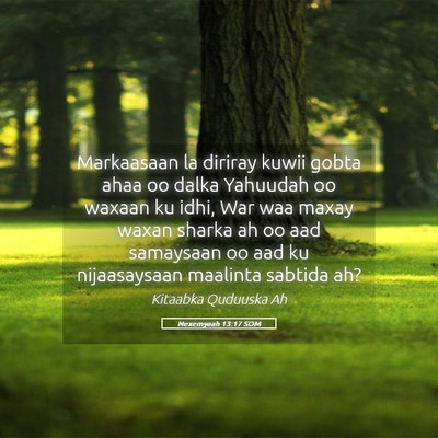 Picture 05 - Nexemyaah 13:17 SOM - Markaasaan la diriray kuwii gobta ahaa oo dalka - Bible Verse Picture