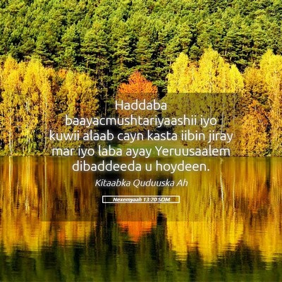 Picture 05 - Nexemyaah 13:20 SOM - Haddaba baayacmushtariyaashii iyo kuwii alaab - Bible Verse Picture