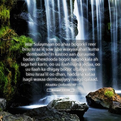 Picture 05 - Nexemyaah 13:26 SOM - War Sulaymaan oo ahaa boqorkii reer binu - Bible Verse Picture