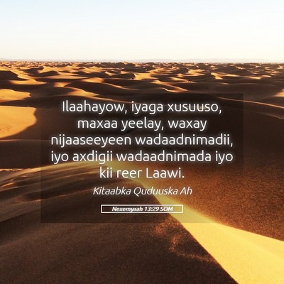 Picture 05 - Nexemyaah 13:29 SOM - Ilaahayow, iyaga xusuuso, maxaa yeelay, waxay - Bible Verse Picture