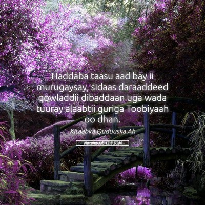 Picture 05 - Nexemyaah 13:8 SOM - Haddaba taasu aad bay ii murugaysay, sidaas - Bible Verse Picture