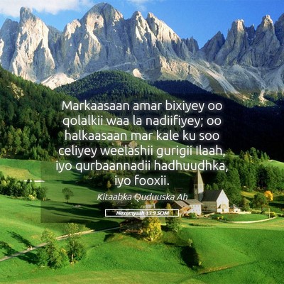 Picture 05 - Nexemyaah 13:9 SOM - Markaasaan amar bixiyey oo qolalkii waa la - Bible Verse Picture