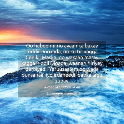 Picture 05 - Nexemyaah 2:13 SOM - Oo habeennimo ayaan ka baxay Iriddii Dooxada, oo - Bible Verse Picture