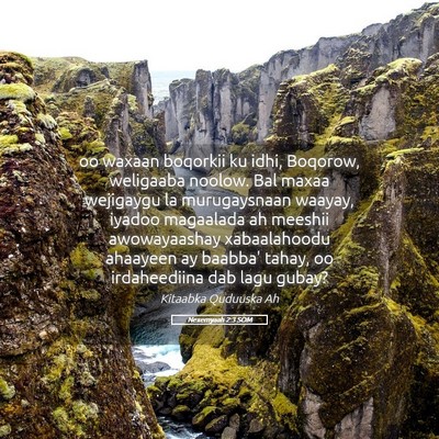 Picture 05 - Nexemyaah 2:3 SOM - oo waxaan boqorkii ku idhi, Boqorow, weligaaba - Bible Verse Picture