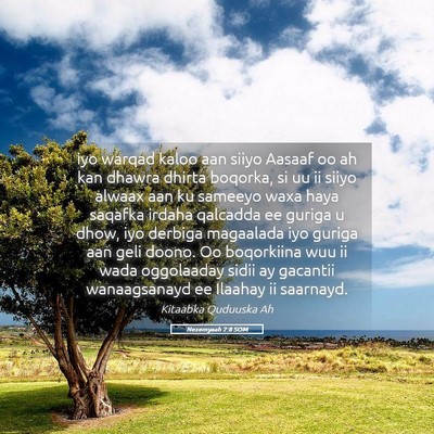 Picture 05 - Nexemyaah 2:8 SOM - iyo warqad kaloo aan siiyo Aasaaf oo ah kan - Bible Verse Picture