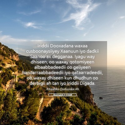 Picture 05 - Nexemyaah 3:13 SOM - Iriddii Dooxadana waxaa cusboonaysiiyey Xaanuun - Bible Verse Picture