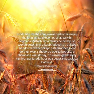 Picture 05 - Nexemyaah 3:15 SOM - Iriddii Isha biyaha ahna waxaa cusboonaysiiyey - Bible Verse Picture