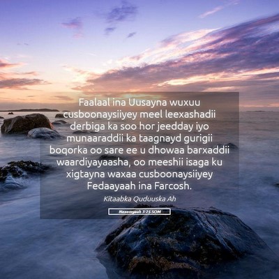 Picture 05 - Nexemyaah 3:25 SOM - Faalaal ina Uusayna wuxuu cusboonaysiiyey meel - Bible Verse Picture