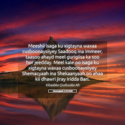 Picture 05 - Nexemyaah 3:29 SOM - Meeshii isaga ku xigtayna waxaa cusboonaysiiyey - Bible Verse Picture