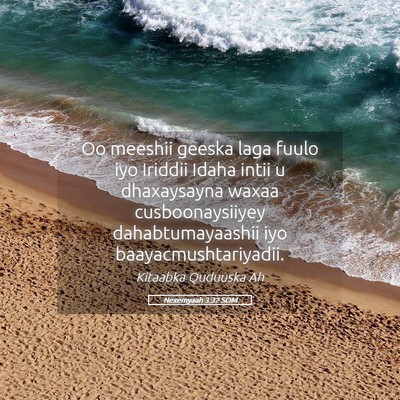 Picture 05 - Nexemyaah 3:32 SOM - Oo meeshii geeska laga fuulo iyo Iriddii Idaha - Bible Verse Picture
