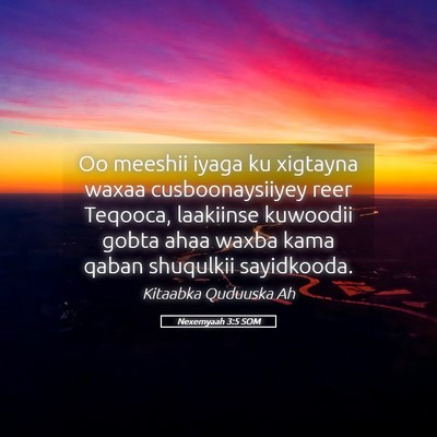 Picture 05 - Nexemyaah 3:5 SOM - Oo meeshii iyaga ku xigtayna waxaa - Bible Verse Picture