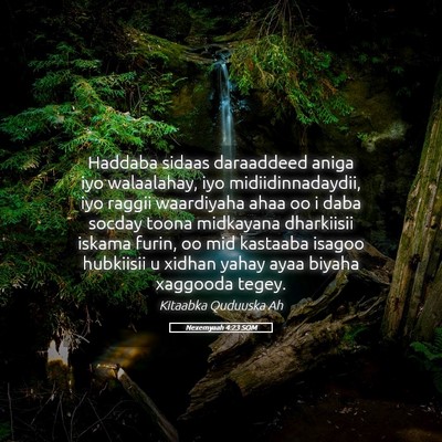 Picture 05 - Nexemyaah 4:23 SOM - Haddaba sidaas daraaddeed aniga iyo walaalahay, - Bible Verse Picture