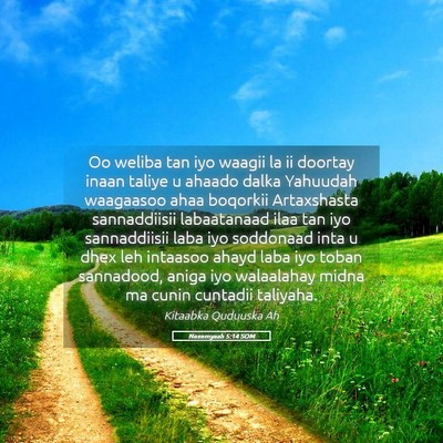 Picture 05 - Nexemyaah 5:14 SOM - Oo weliba tan iyo waagii la ii doortay inaan - Bible Verse Picture