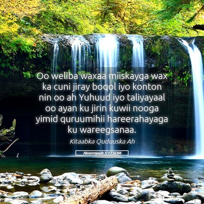 Picture 05 - Nexemyaah 5:17 SOM - Oo weliba waxaa miiskayga wax ka cuni jiray boqol - Bible Verse Picture