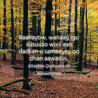 Picture 05 - Nexemyaah 5:19 SOM - Ilaahayow, wanaag igu xusuuso wixii aan dadkan u - Bible Verse Picture
