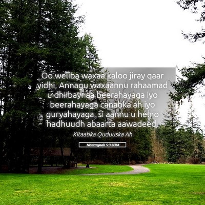 Picture 05 - Nexemyaah 5:3 SOM - Oo weliba waxaa kaloo jiray qaar yidhi, Annagu - Bible Verse Picture
