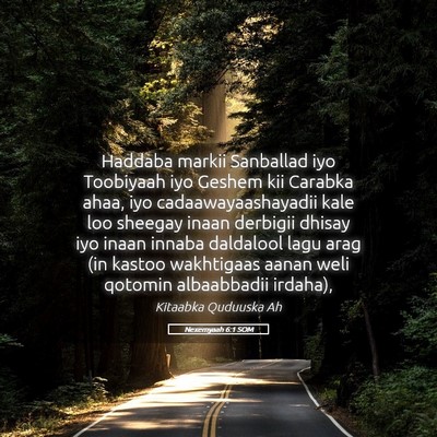 Picture 05 - Nexemyaah 6:1 SOM - Haddaba markii Sanballad iyo Toobiyaah iyo Geshem - Bible Verse Picture
