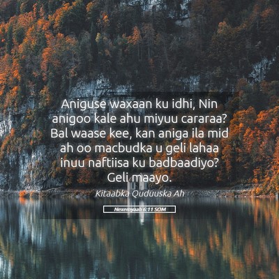 Picture 05 - Nexemyaah 6:11 SOM - Aniguse waxaan ku idhi, Nin anigoo kale ahu miyuu - Bible Verse Picture