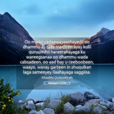 Picture 05 - Nexemyaah 6:16 SOM - Oo markii cadaawayaashayadii oo dhammu ay taas - Bible Verse Picture