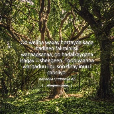 Picture 05 - Nexemyaah 6:19 SOM - Oo weliba waxay hortayda kaga hadleen - Bible Verse Picture
