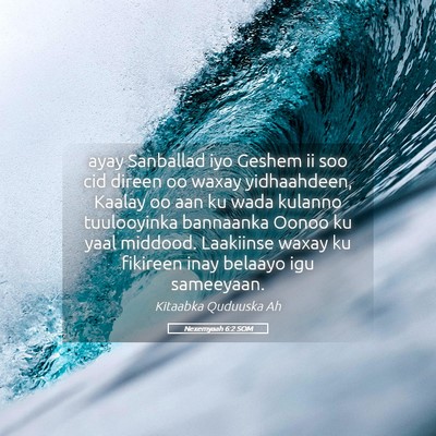 Picture 05 - Nexemyaah 6:2 SOM - ayay Sanballad iyo Geshem ii soo cid direen oo - Bible Verse Picture