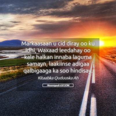 Picture 05 - Nexemyaah 6:8 SOM - Markaasaan u cid diray oo ku idhi, Waxaad - Bible Verse Picture