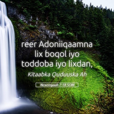 Picture 05 - Nexemyaah 7:18 SOM - reer Adoniiqaamna lix boqol iyo toddoba iyo - Bible Verse Picture