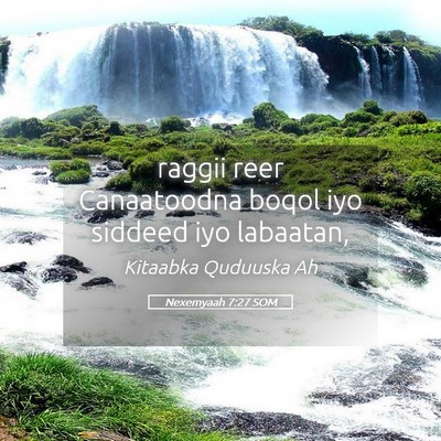 Picture 05 - Nexemyaah 7:27 SOM - raggii reer Canaatoodna boqol iyo siddeed iyo - Bible Verse Picture