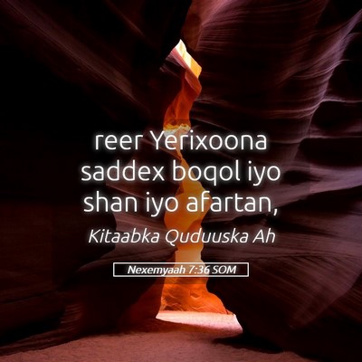 Picture 05 - Nexemyaah 7:36 SOM - reer Yerixoona saddex boqol iyo shan iyo - Bible Verse Picture