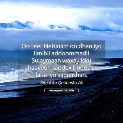 Picture 05 - Nexemyaah 7:60 SOM - Oo reer Netiiniim oo dhan iyo ilmihii addoommadii - Bible Verse Picture