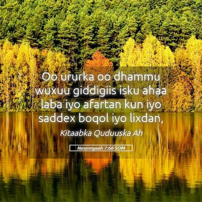 Picture 05 - Nexemyaah 7:66 SOM - Oo ururka oo dhammu wuxuu giddigiis isku ahaa - Bible Verse Picture