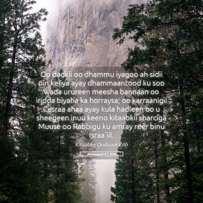 Picture 05 - Nexemyaah 8:1 SOM - Oo dadkii oo dhammu iyagoo ah sidii nin keliya - Bible Verse Picture